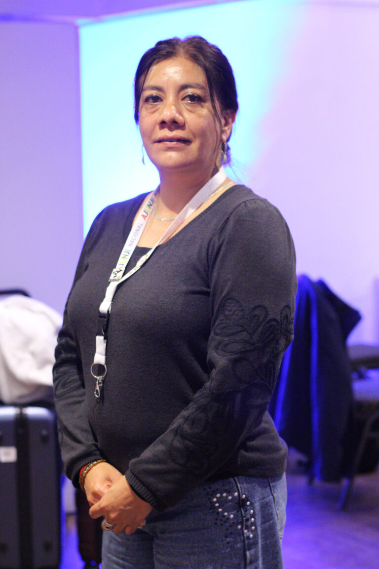 Julie Yovanka Veliz Monardes, Presidenta